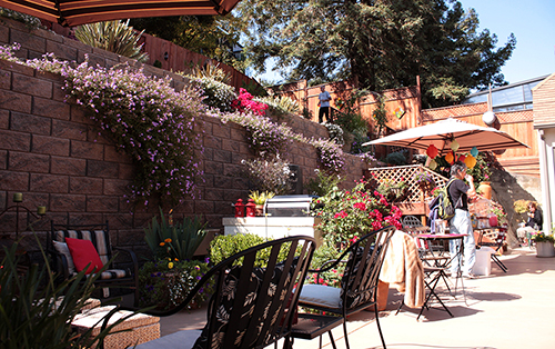 A garden with retaining walls on a steep hillside.  Martinez, CA